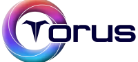 Torus logo